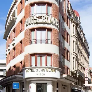 Ours Blanc - Wilson Francia